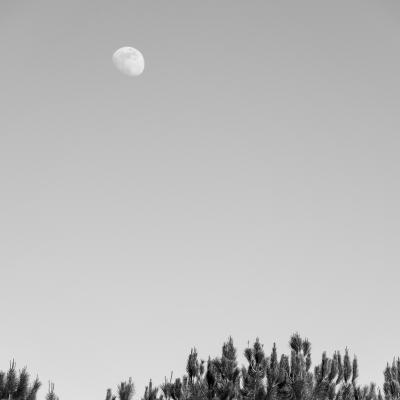 La luna al atardecer