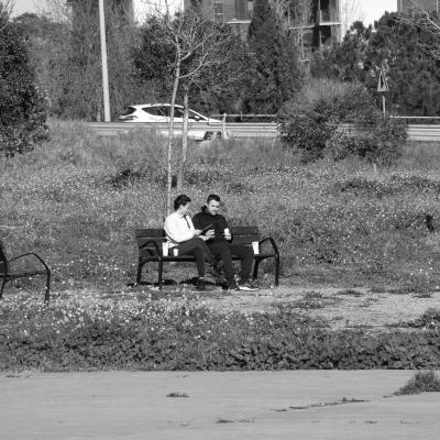 Una pareja al atardecer