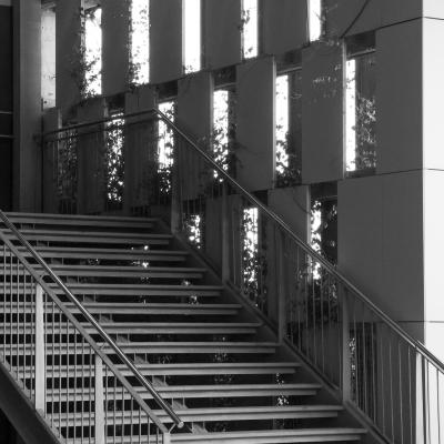 Escaleras del centro comercial Estepark